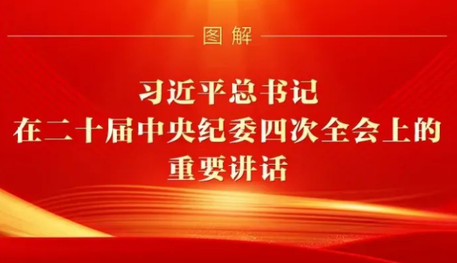 482a4935-50b3-4e26-bc01-a53c9ad91bac660_380.jpg